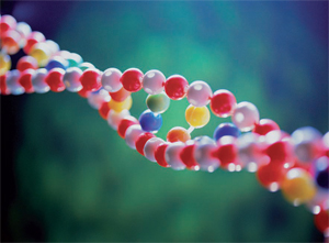 Esempio di catena di DNA