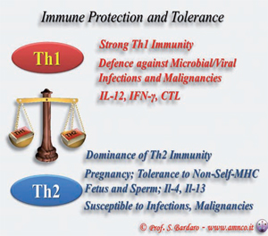 rappresentazione dei differenti tipi di responso immunitario da parte dell'organismo